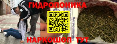 гашик Жуковский