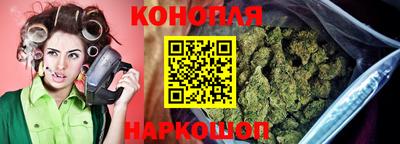 гашик Жуковский