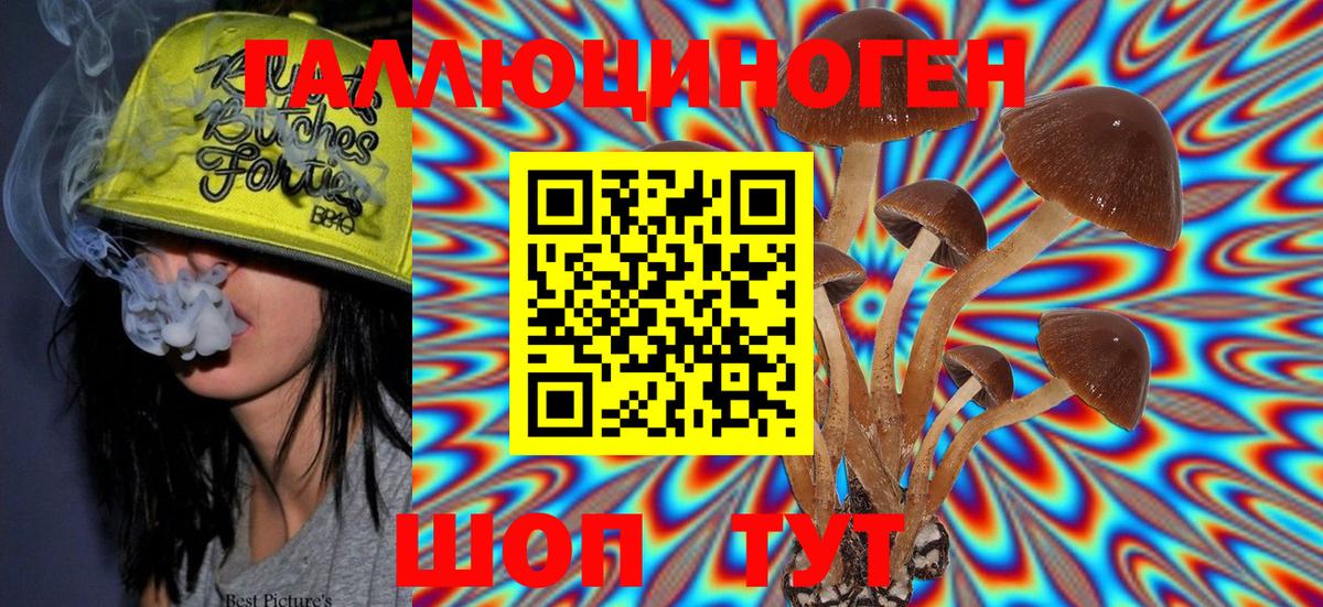 Галлюциногенные грибы Psilocybe Мелеуз